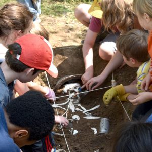Archaeology Camp Bones in Dirt