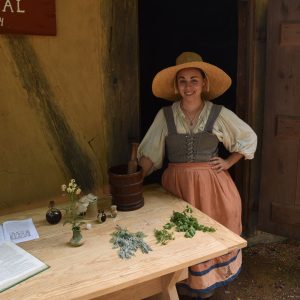 Herbalism Display