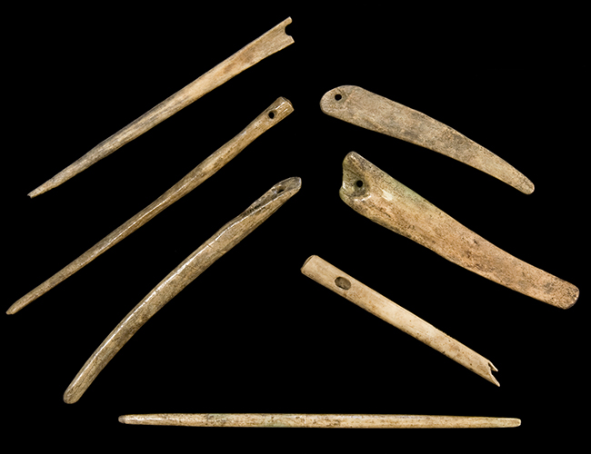 Native Bone Needles