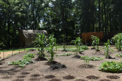 Powhatan Garden